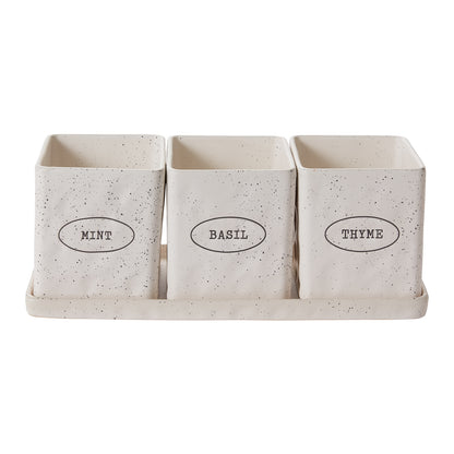 Aroma Collection