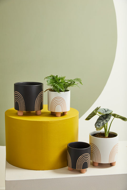 Asha Pot