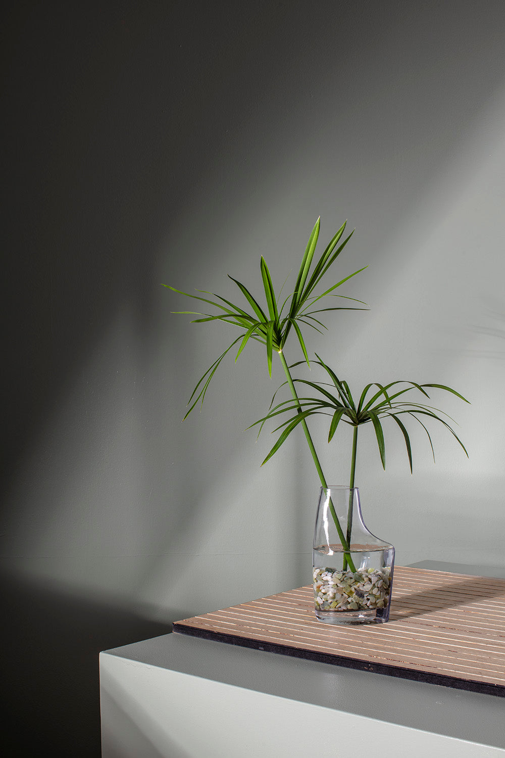 Asymmetria Vase