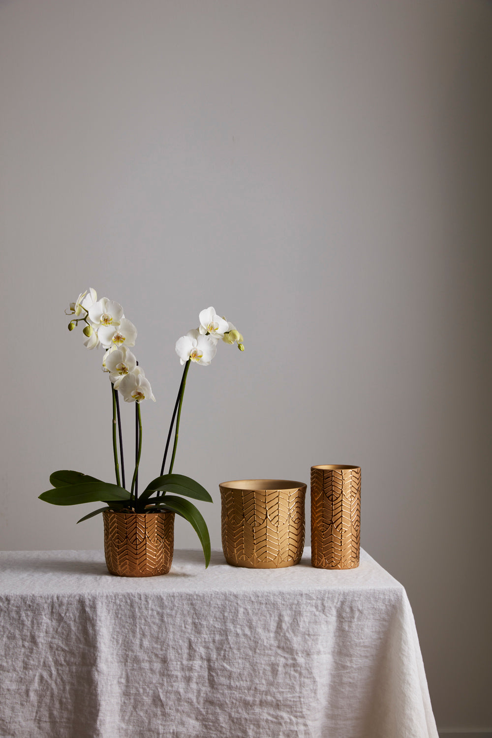 Aurum Collection