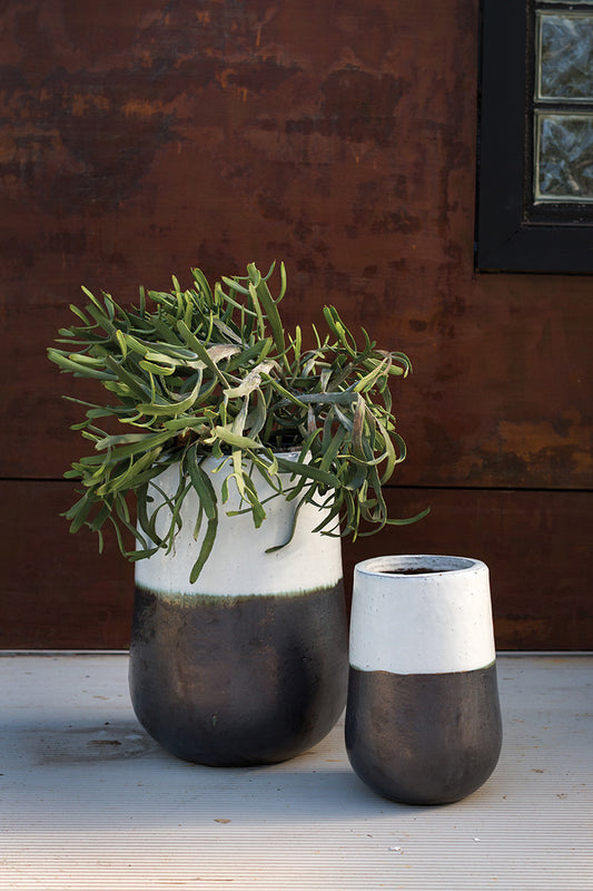 Avalon Pot