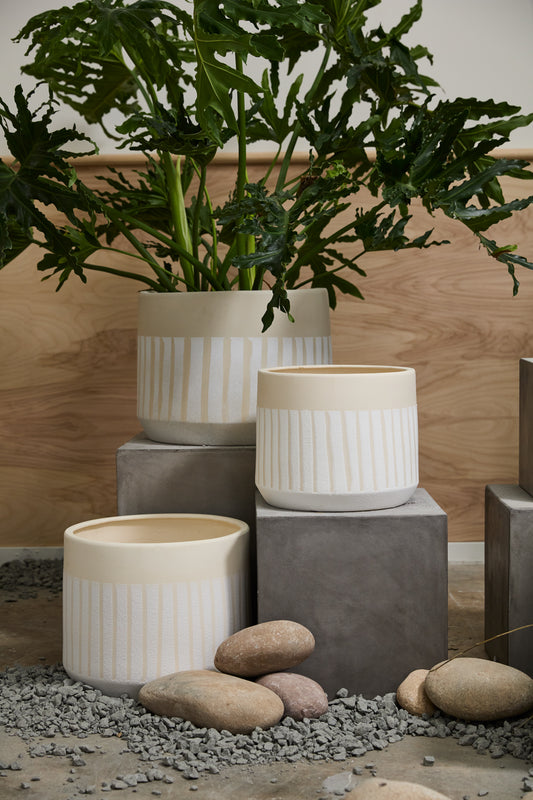 Aveline Pot