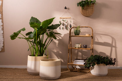 Aveline Pot