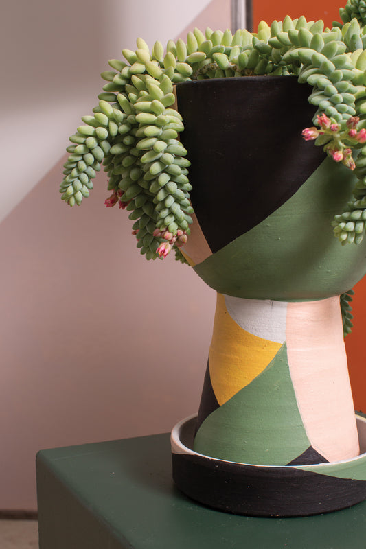 Ayton Pot