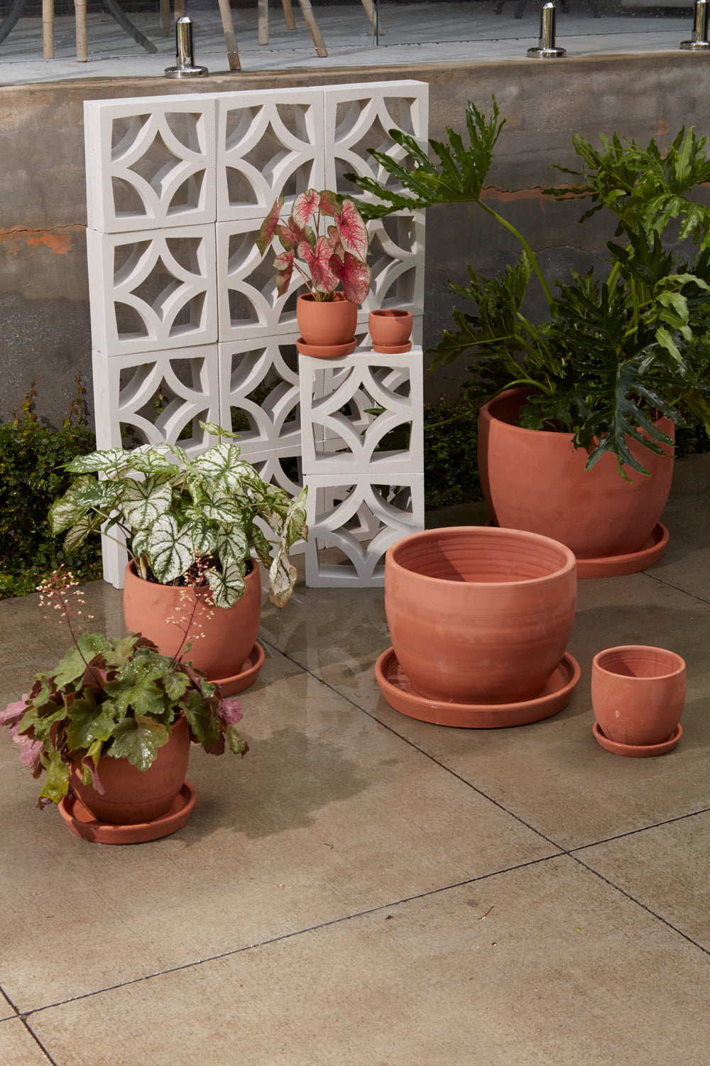 Baden Pot