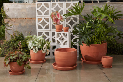 Baden Pot