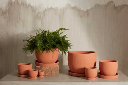 Baden Pot