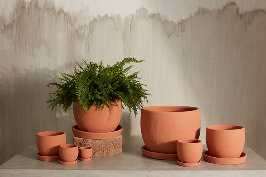 Baden Pot