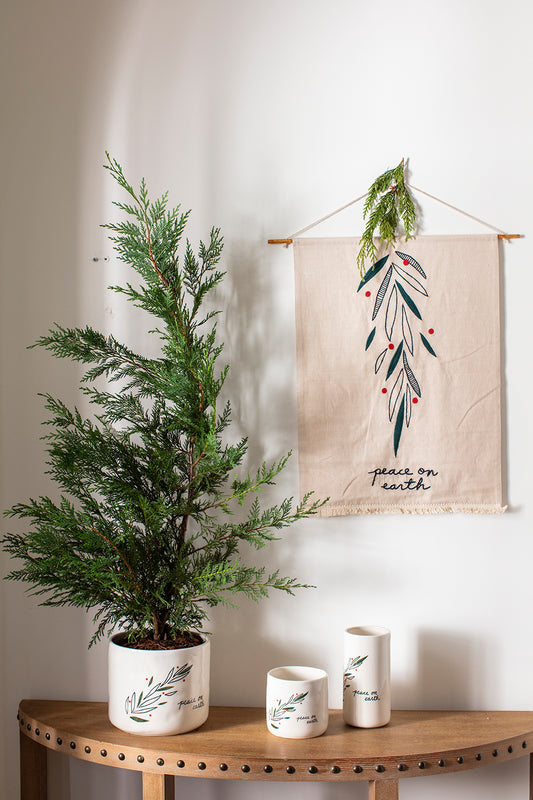 Barberry Collection