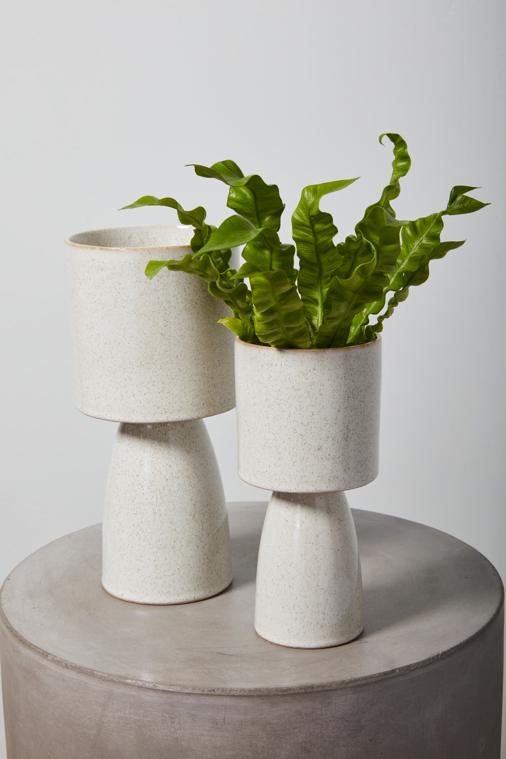Beta Footed Pot Sale