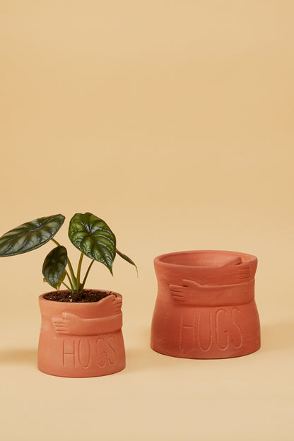 Big Hugs Pot
