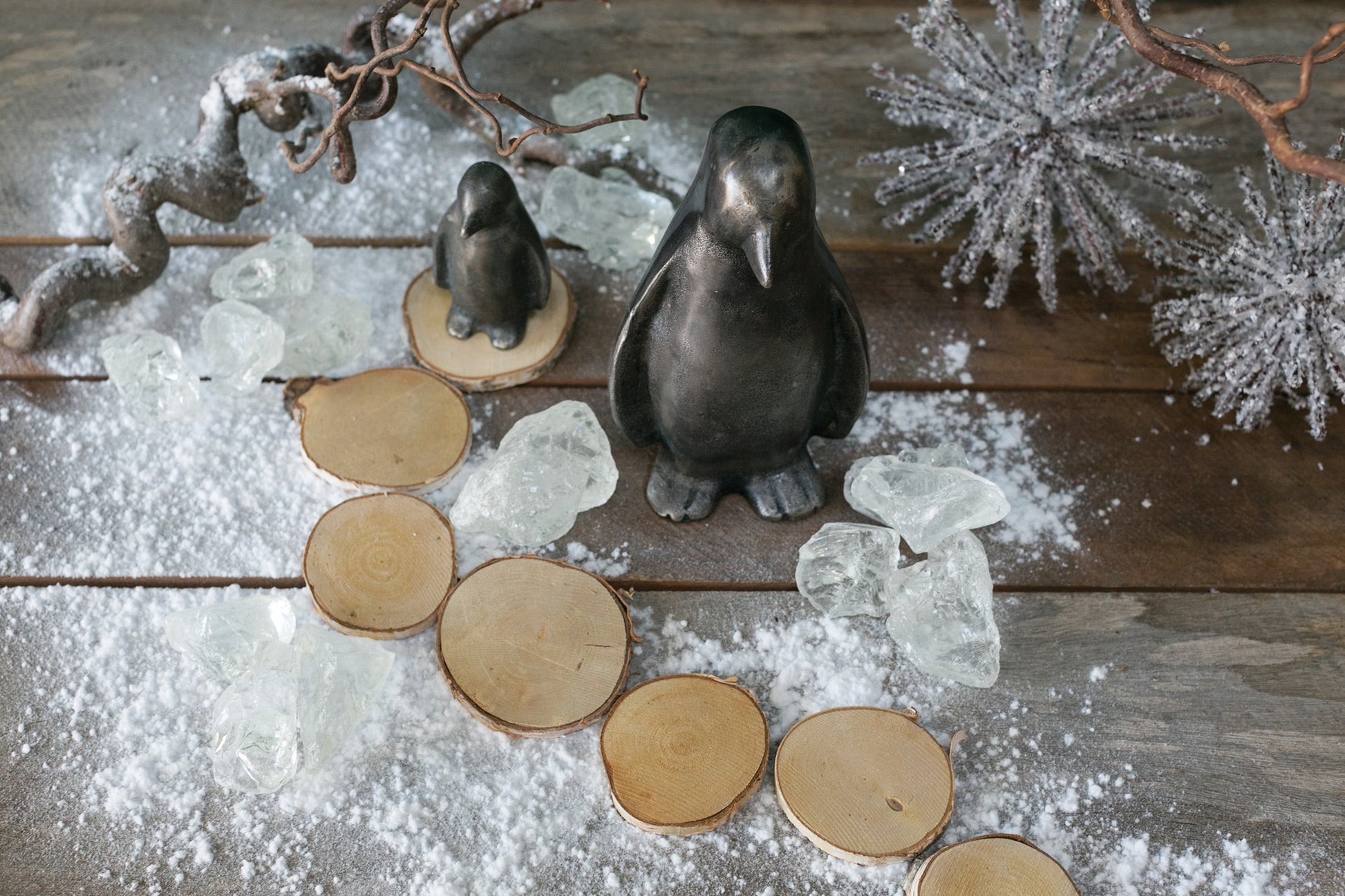 Birch and Wood Slices
