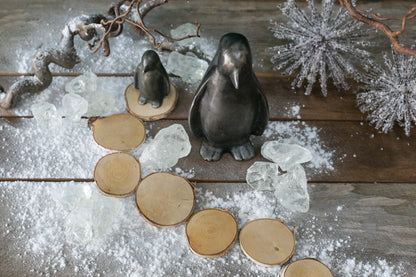 Birch and Wood Slices