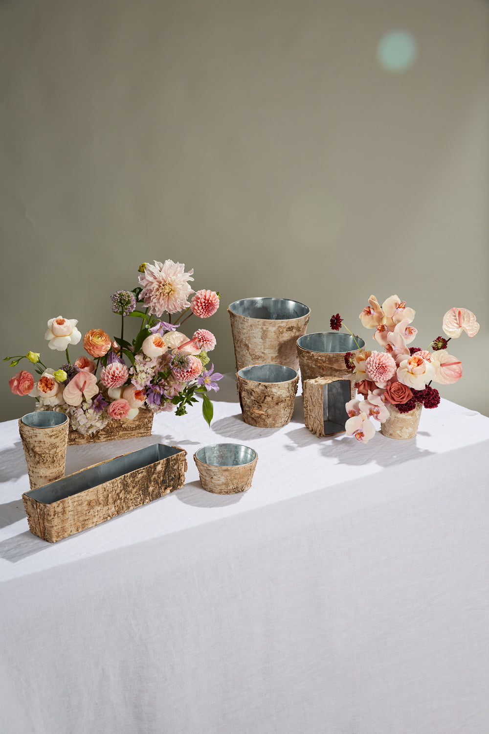 Birch Collection with Zinc