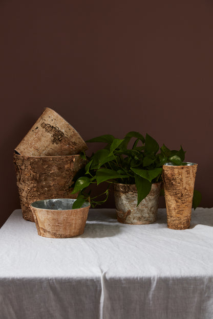 Birch Collection with Zinc