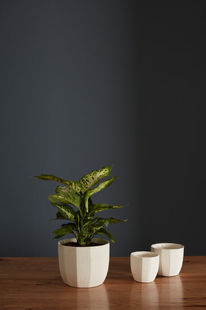 Bona Pot