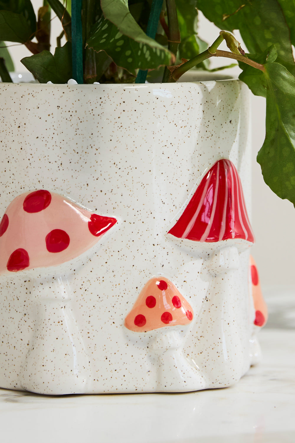 Cheerful Mushroom Collection