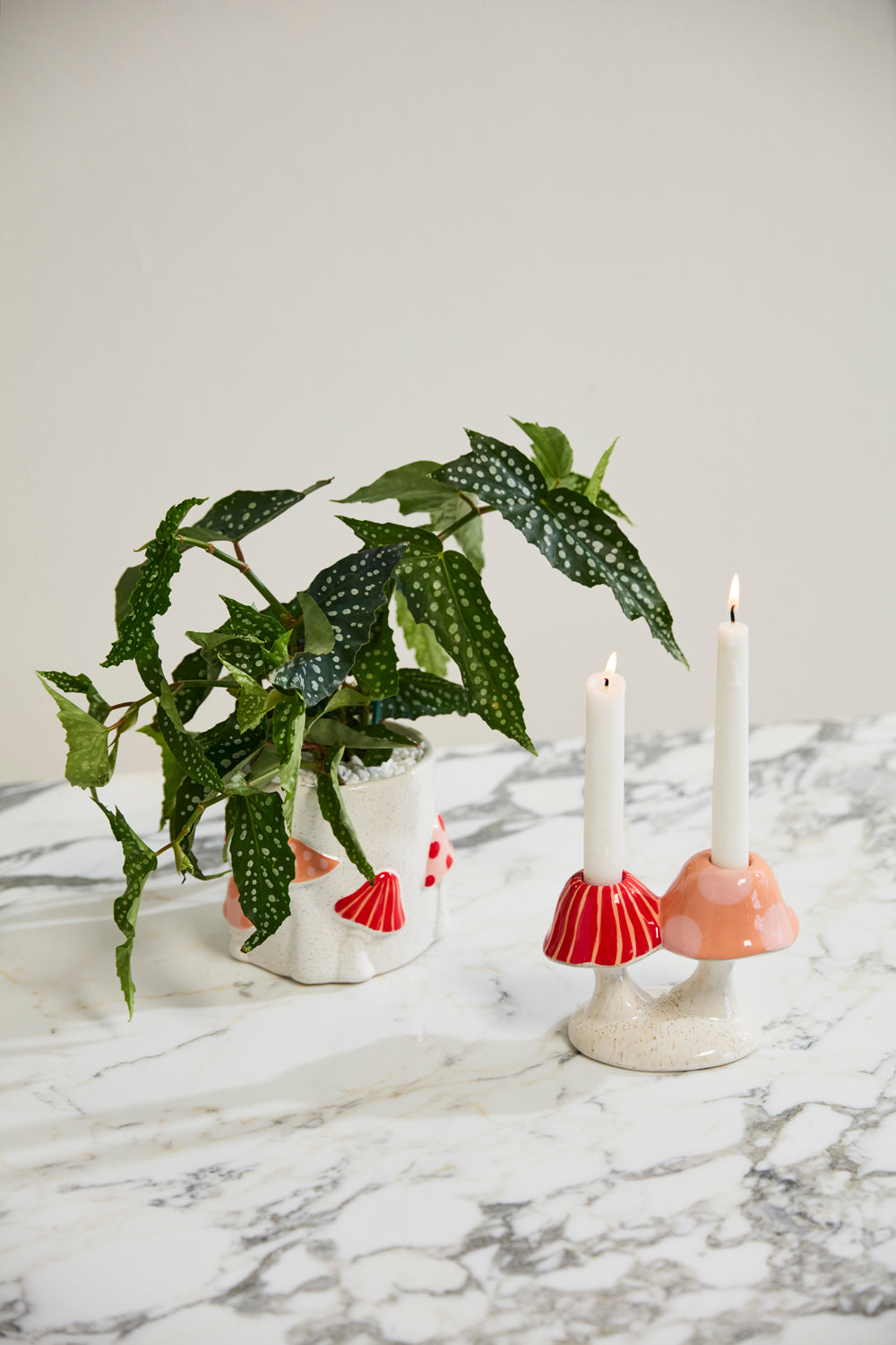 Cheerful Mushroom Collection