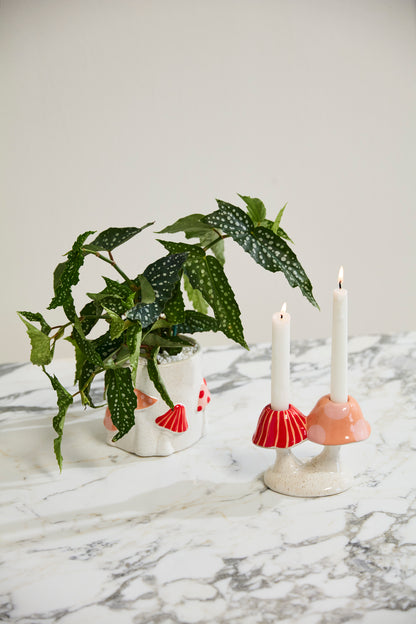 Cheerful Mushroom Collection