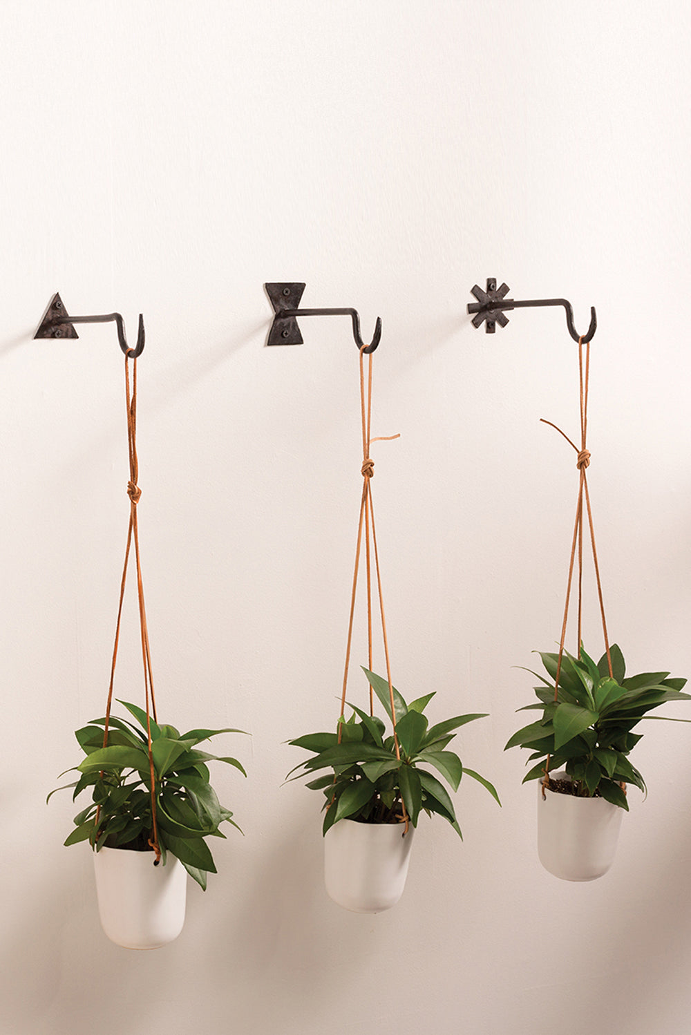 Chet Wall Hanger