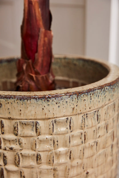 Chimera Pot