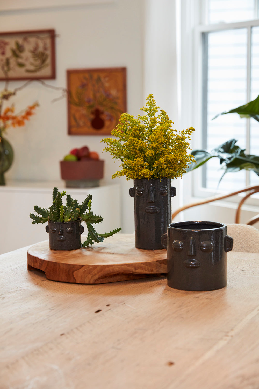 Ciboney Collection