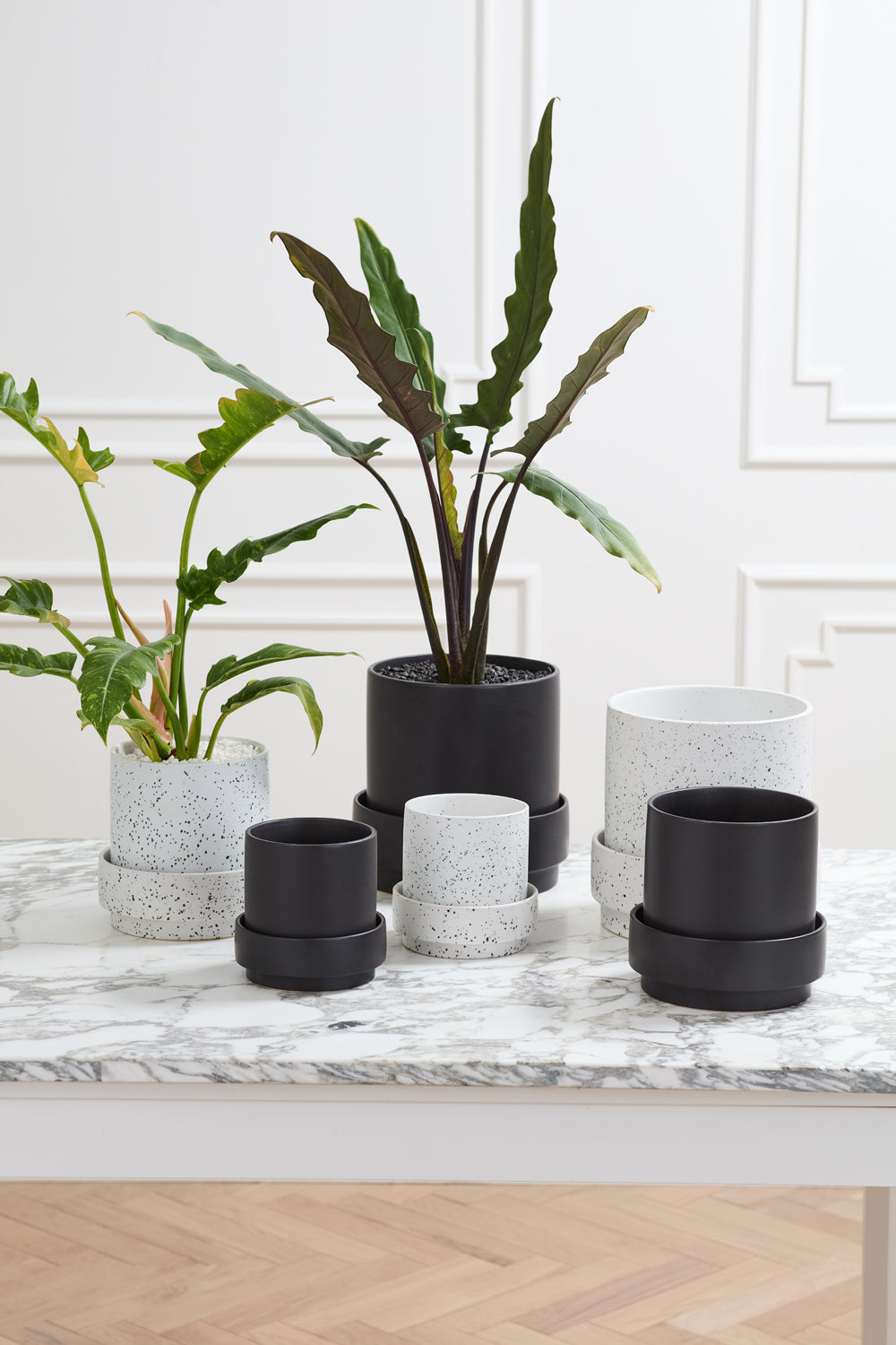 Claxton Pot with Saucer