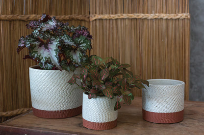 Como Collection