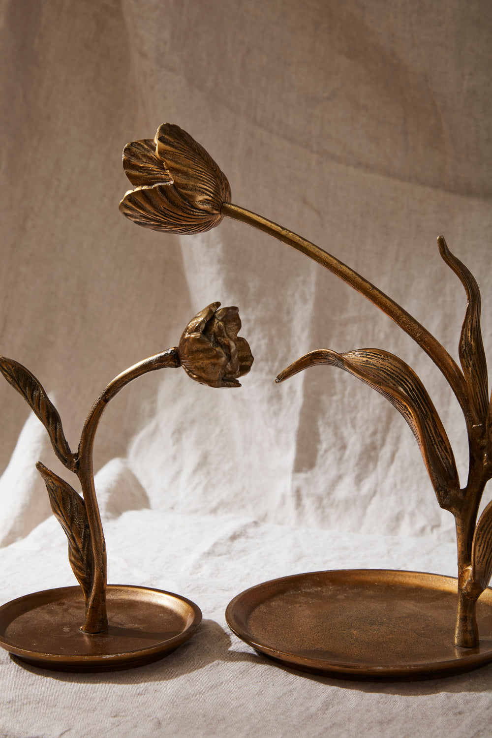 Craning Tulip Sculpture