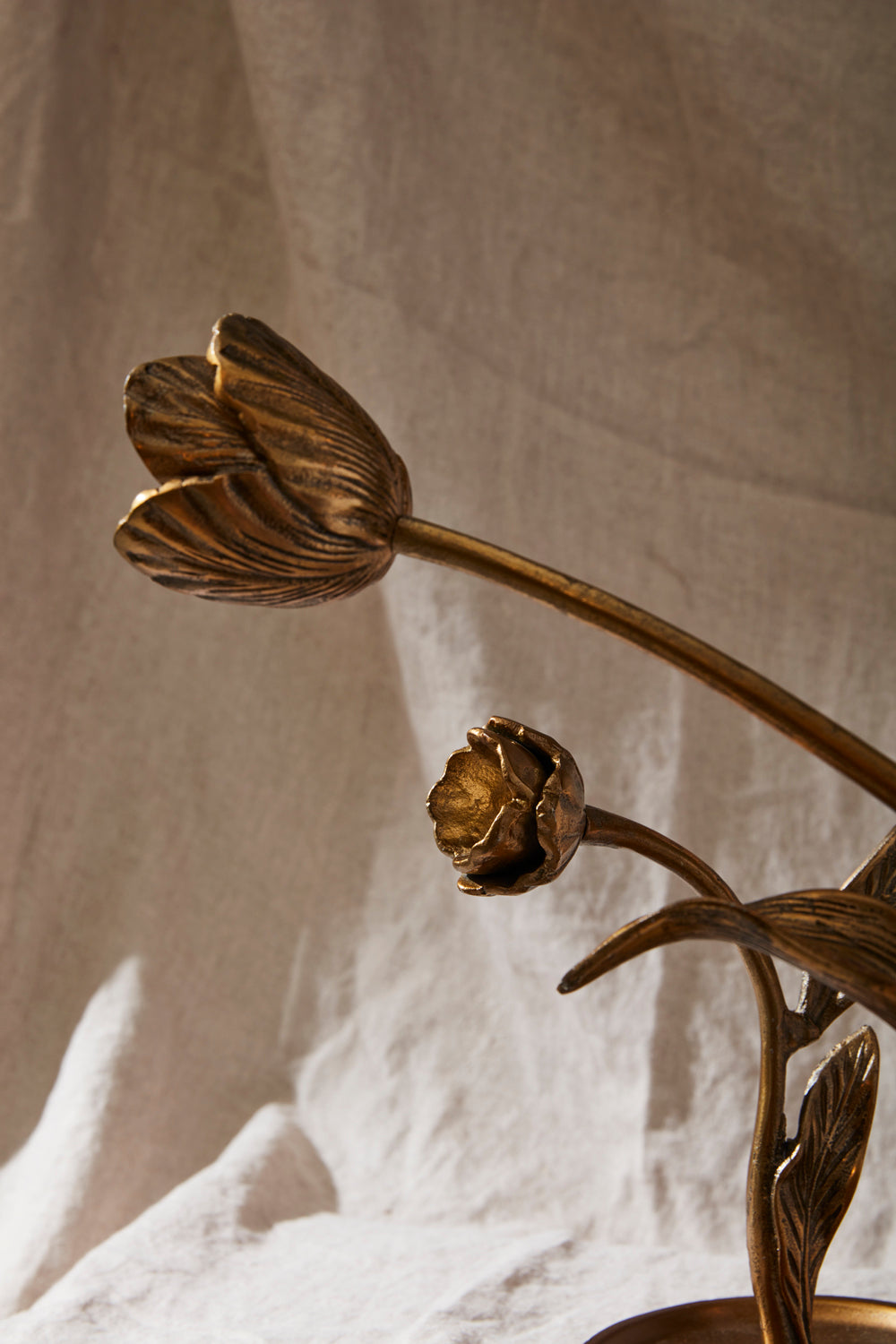Craning Tulip Sculpture