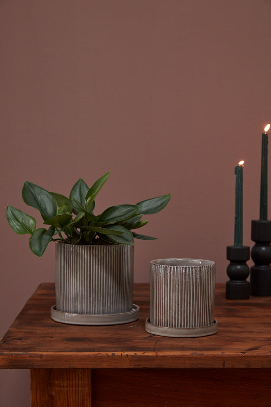 Curio Pot