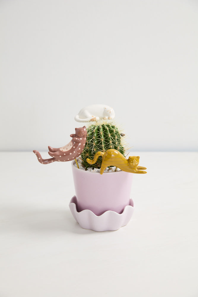 Curious Cats Plant Sticks - Set of 3