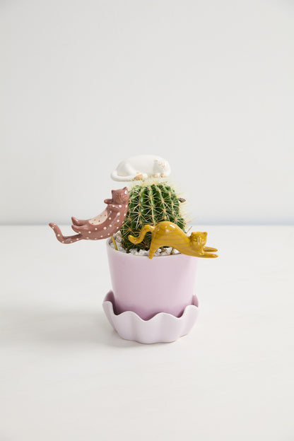 Curious Cats Plant Sticks - Set of 3