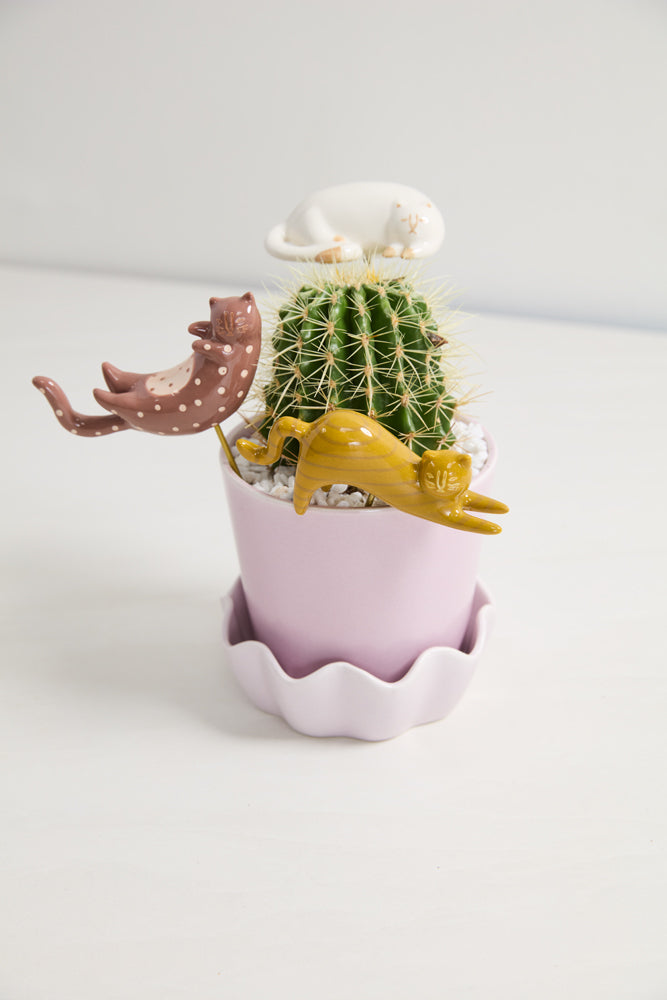 Curious Cats Plant Sticks - Set of 3