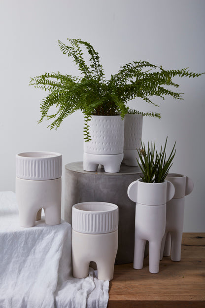 Dache Pot
