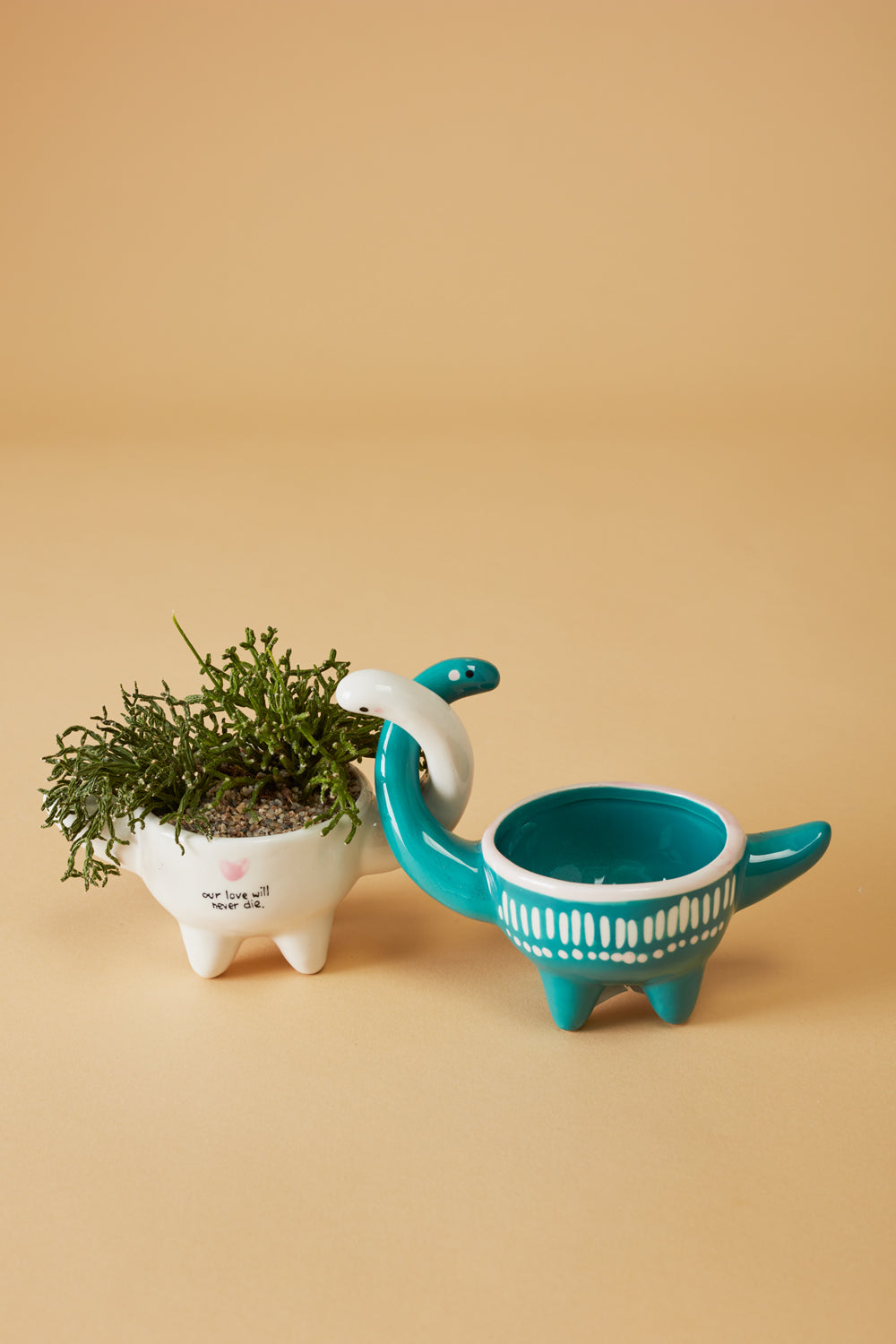 Dino Love Pots - Set of 2