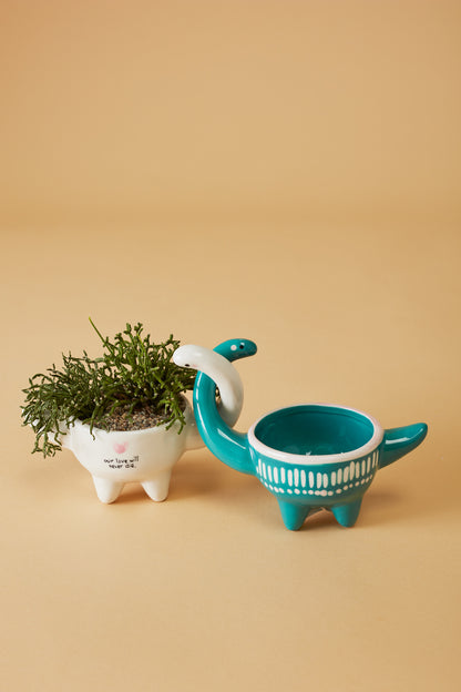 Dino Love Pots - Set of 2