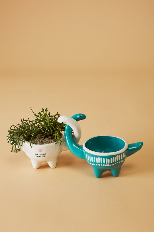 Dino Love Pots - Set of 2