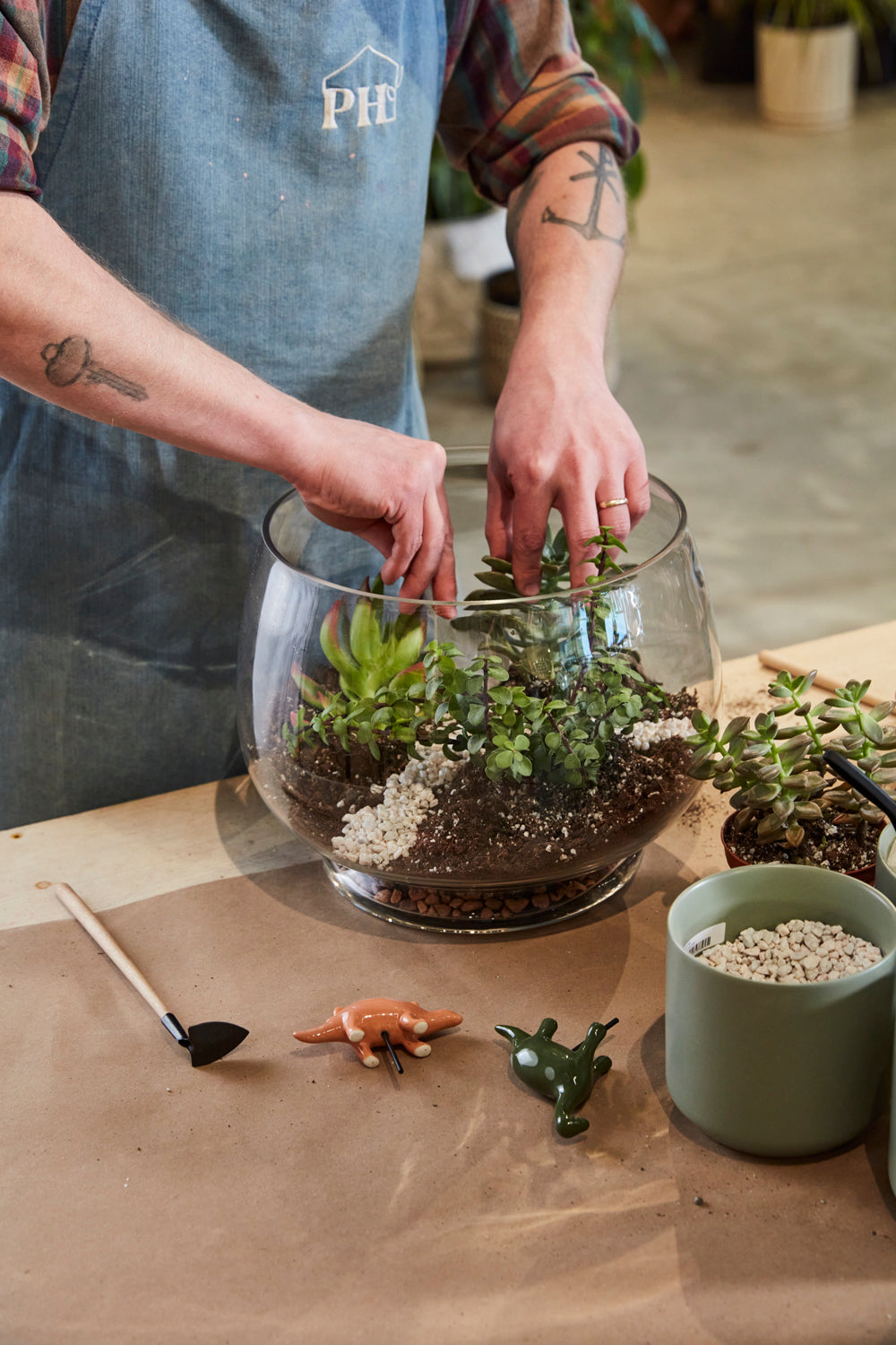 Discovery Terrarium