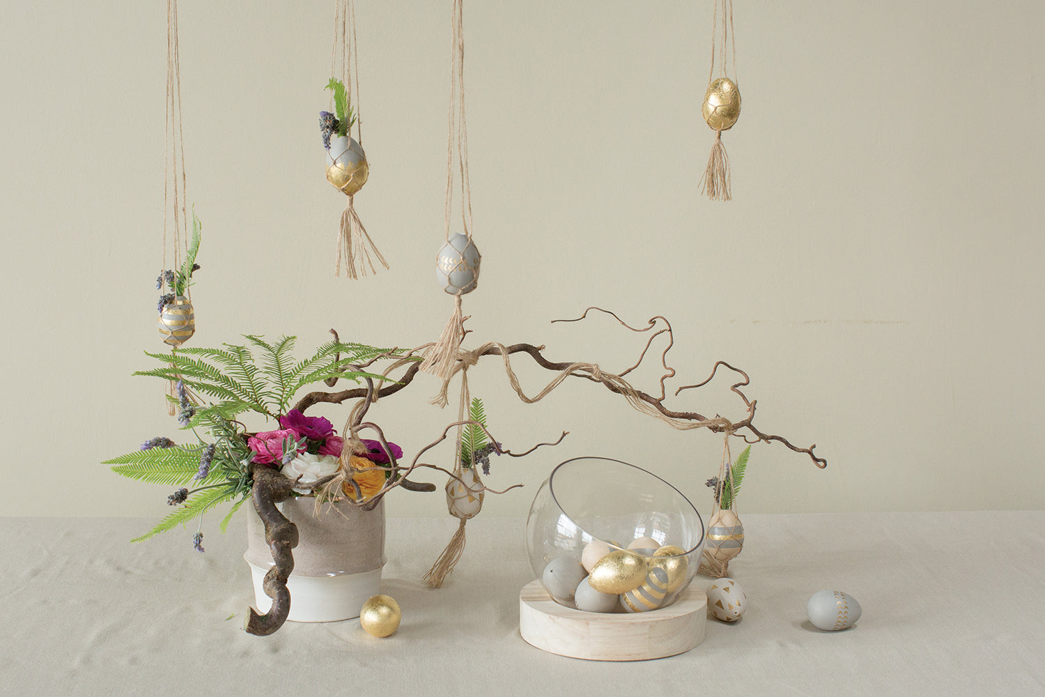 Eggs Collection