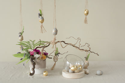 Eggs Collection