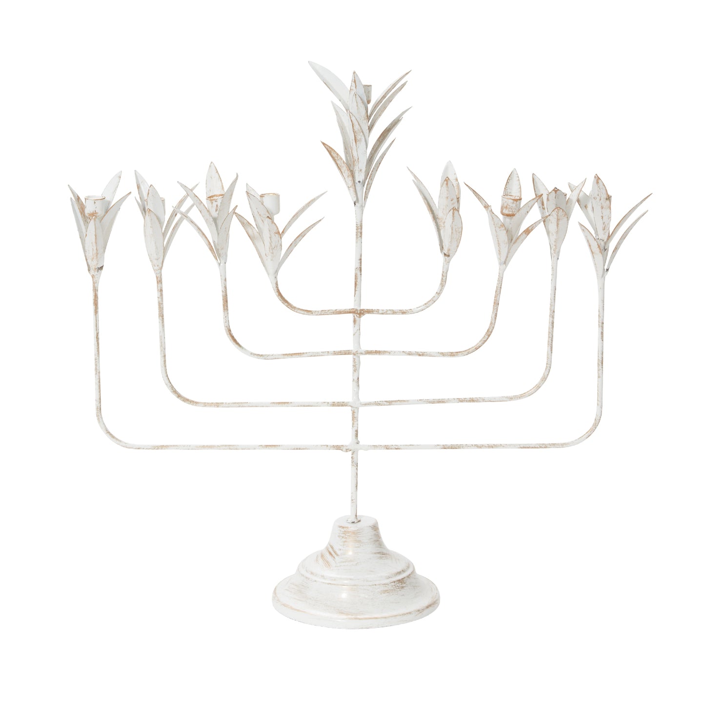 Eliora Menorah