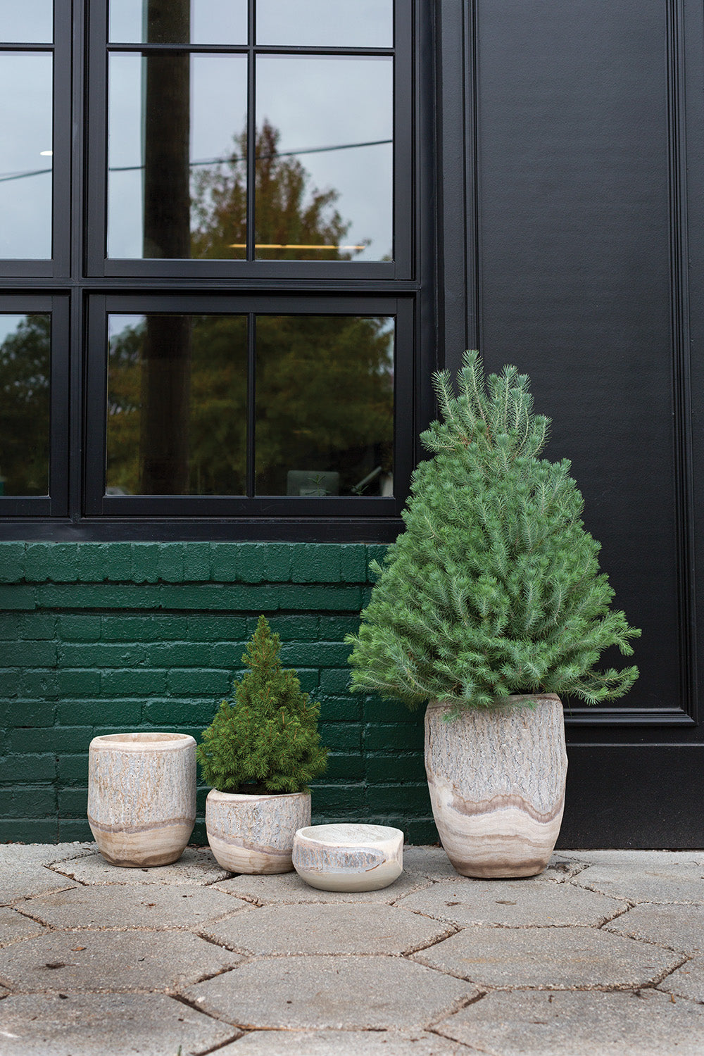 Elmwood Collection