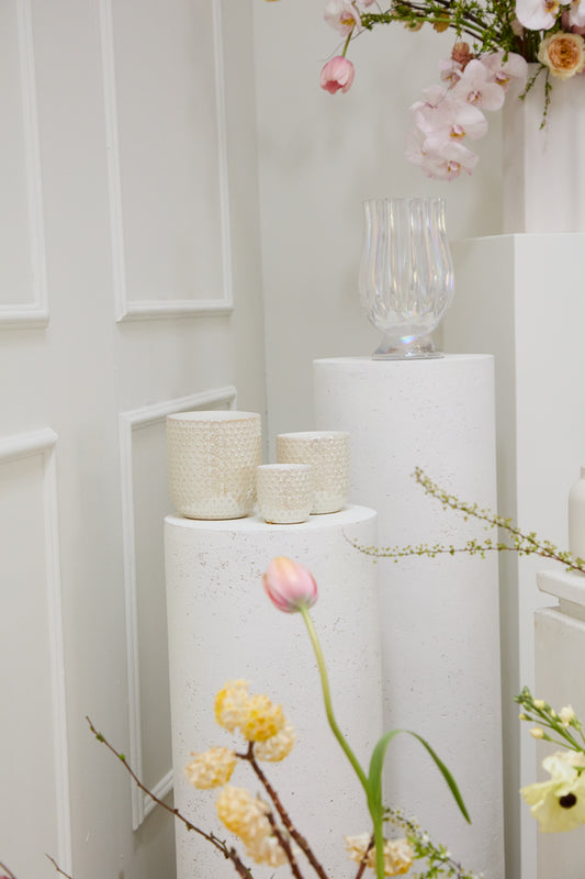 Everly Pot