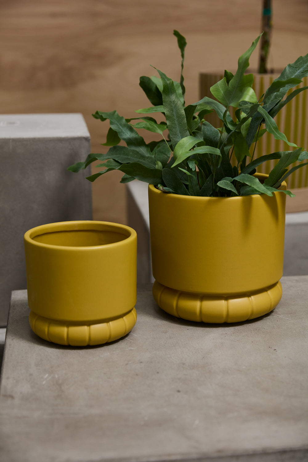 Fara Pot