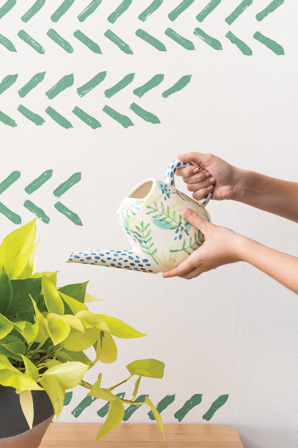 Ferni Watering Can