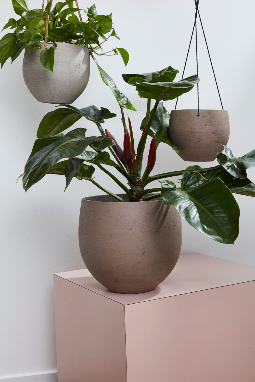 Figueroa Collection