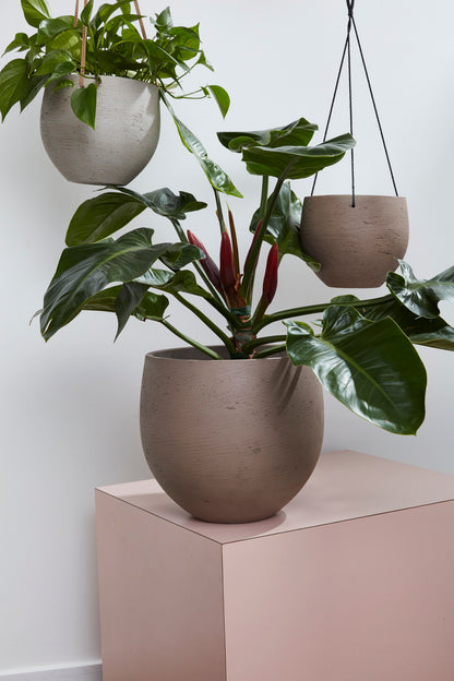 Figueroa Collection