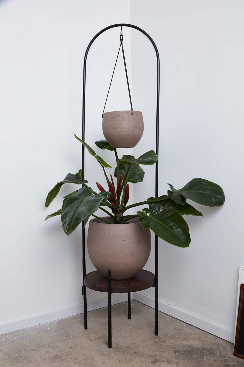 Figueroa Collection