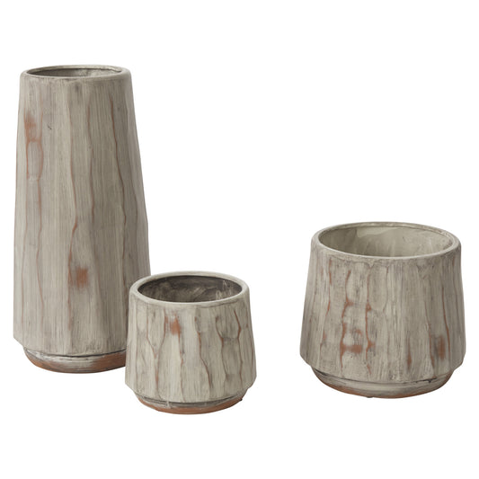 Forest Bark Collection
